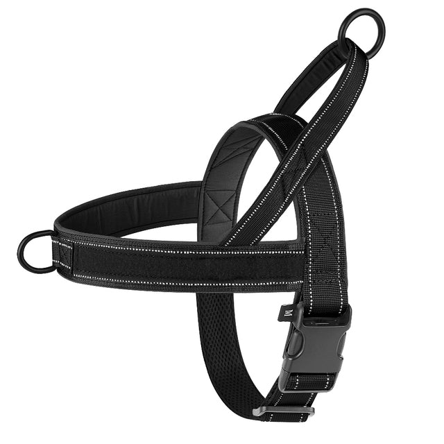 Lola. Dog Harness