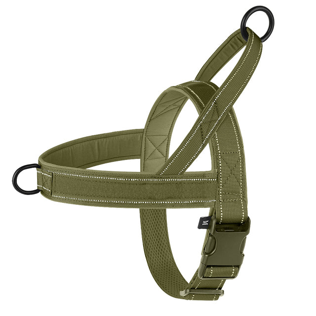 Lola. Dog Harness