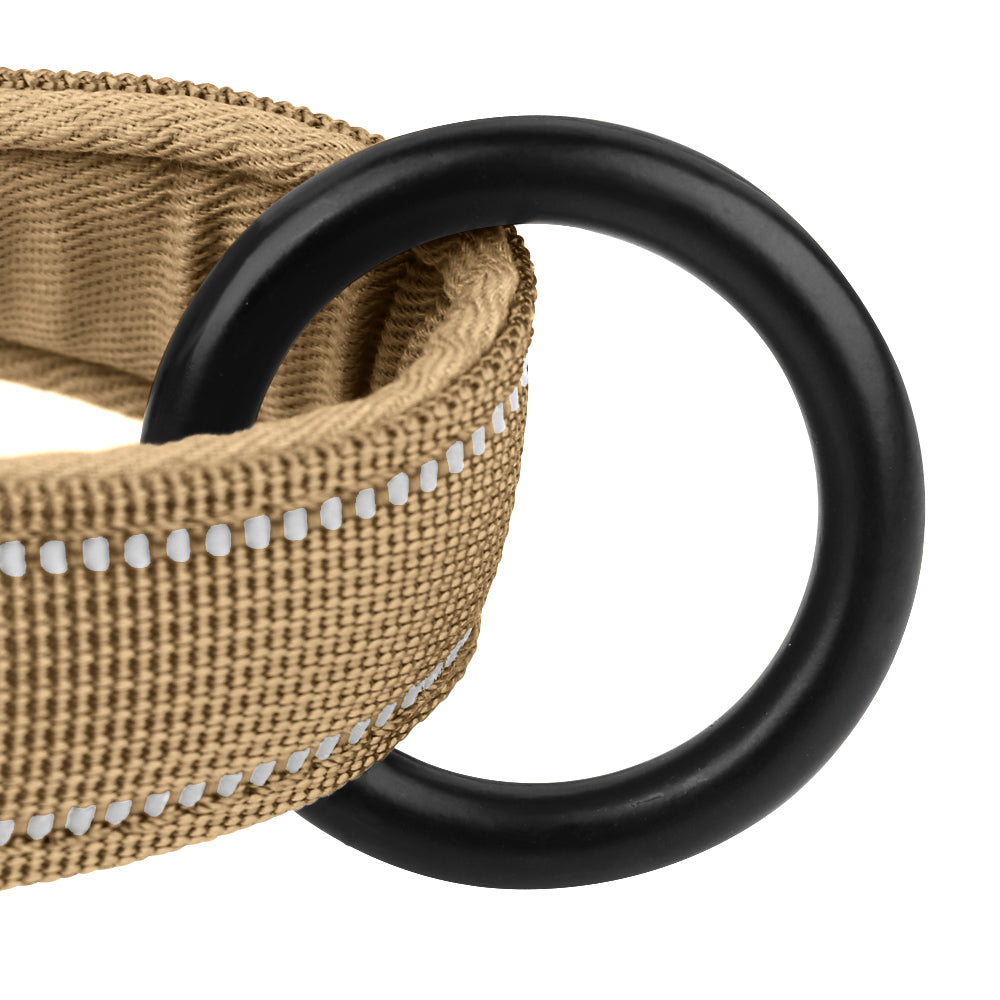 Lola. Dog Harness