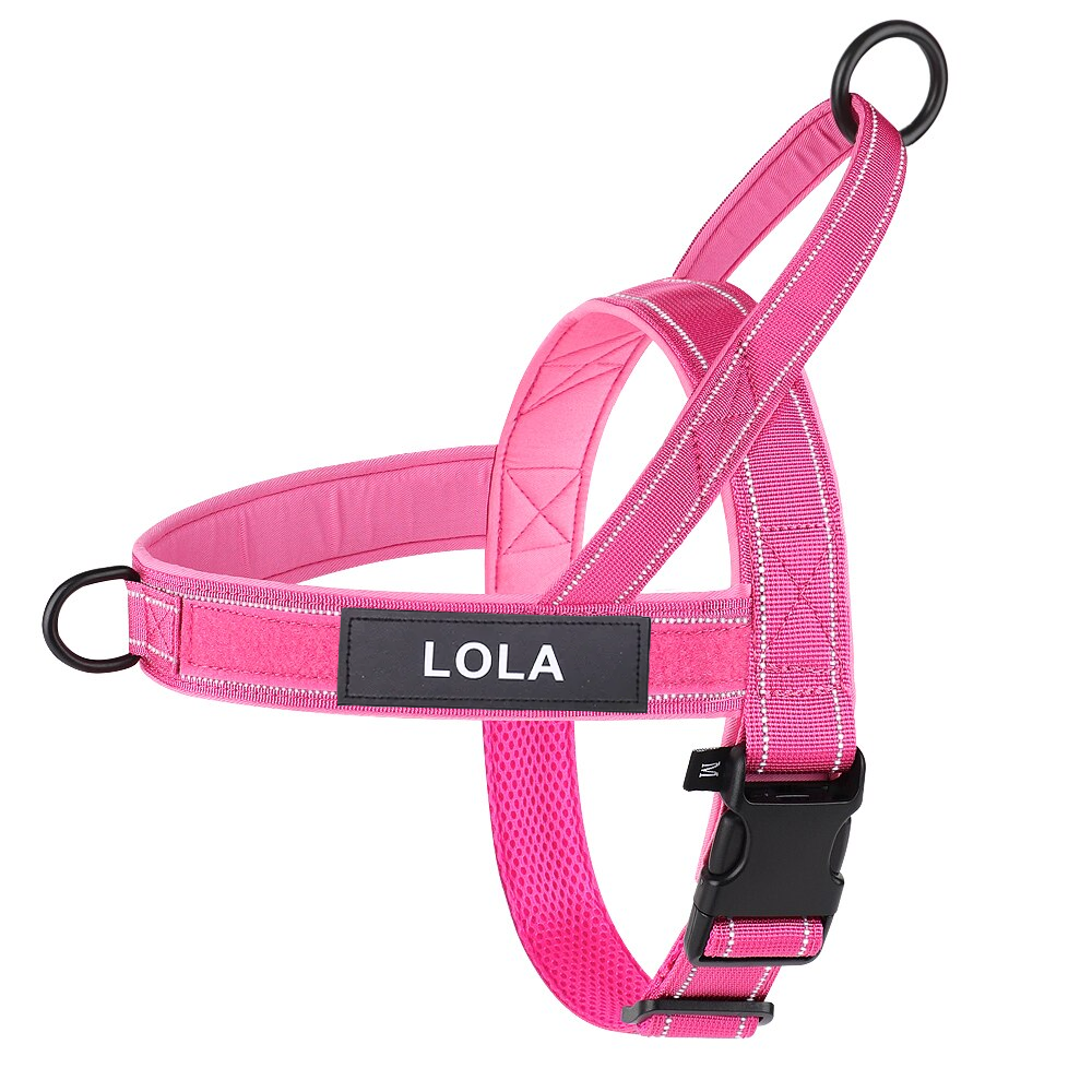 Lola. Dog Harness